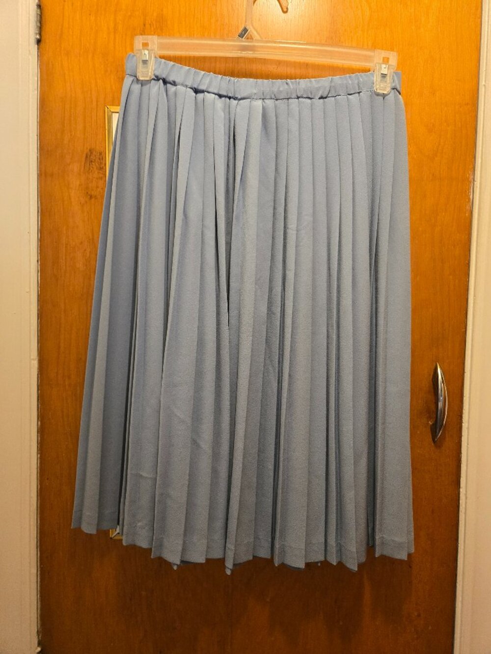 Light blue pleated skirt 12